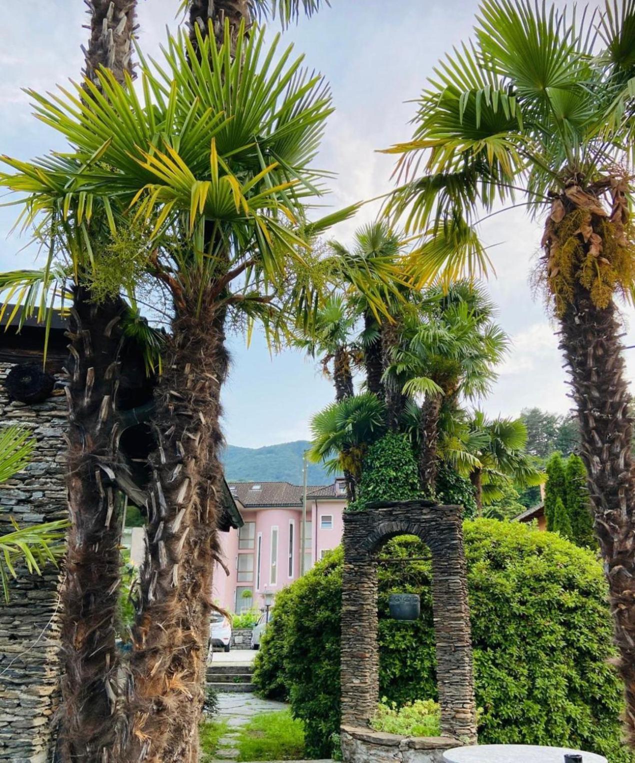 Hotel San Giorgio Stanze Losone Exterior foto